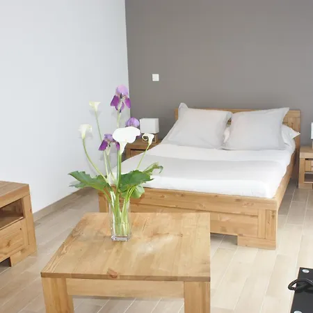 Resid'spa Loire & Sevre Резе