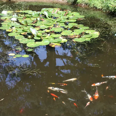 Resid'spa Loire & Sevre Ξενοδοχείο με διαμερίσματα Rezé