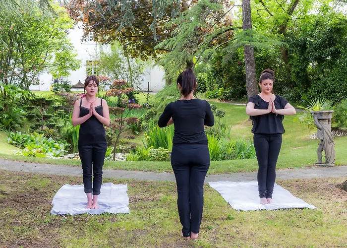 Résid'spa Loire&sèvre Appart hôtel Rezé