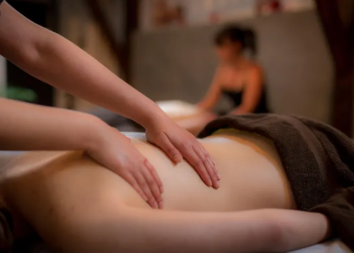 Résid'spa Loire&sèvre 3*