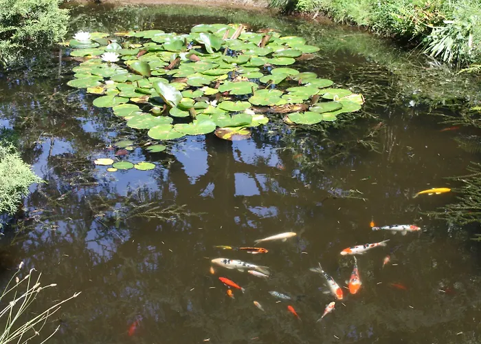 Résid'spa Loire&sèvre Appart hôtel Rezé