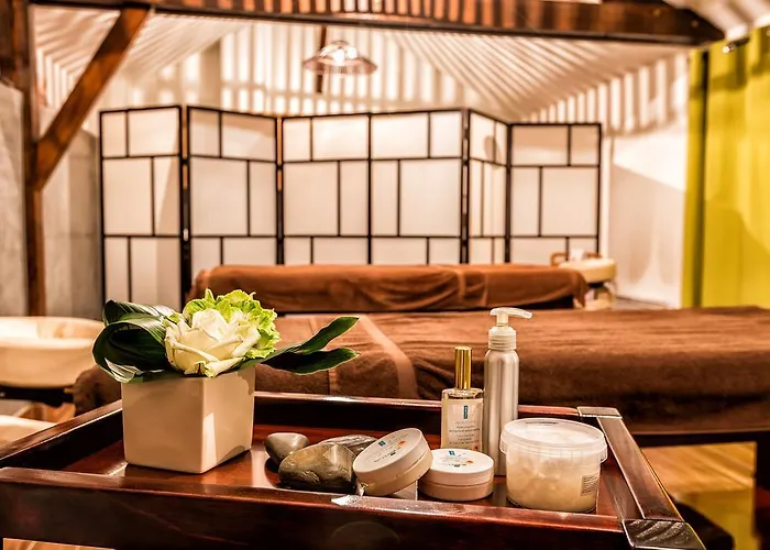 Lägenhetshotell Resid'spa Loire & Sevre 3*